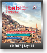 TEB HABERLER | YIL:2017 | SAYI:01